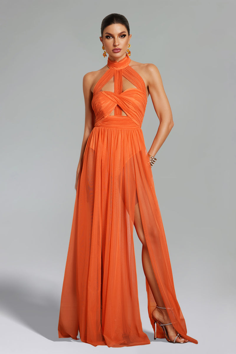 Halterneck Mesh Bodycon Ruched Maxi Dress