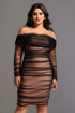 Rowena Ruched Mesh Bandage Midi Dress - Black