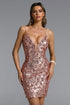 Irene Chic Contour Deep V Sequin Mini Dress