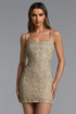 Halee Elegant Contour Sleeveless Gold Lace Mini Dress