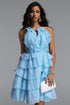Tanisha Resort Flowy Sleeveless Ruffle Woven Blue Mini Dress