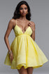Darja Resort Flowy Sleeveless Organza Mini Dress