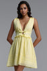 Samantha Romantic Cinched V Neck Sleeveless Ruffle Woven Mini Dress