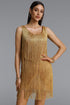 Emory Sequins Fringe Mini Dress