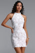 Frances Chic Tailored Sleeveless Floral Lace Mini Dress
