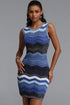Jozie Romantic Contour Round Neck Sleeveless Knit Mini Dress
