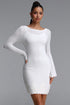 Dasaka Chic Contour Round Neck Long Sleeve Floral Knit Mini Dress