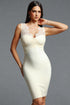 Leanna Romantic Fitted V Neck Lace Panel Beige Bandage Mini Dress