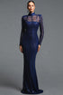Kandiss Elegant Contour High Neck Long Sleeve Sequin Mesh Maxi Dress