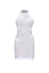 Nadja Romantic Contour Sleeveless Floral Lace Mini Dress