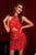 Elspeth Sequin Tassel Mini Dress - Red - Bellabarnett