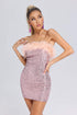 Tess Feather Sequin Tube Dress