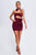 Vako Strapless Mesh Mini Dress