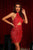 Elspeth Sequin Tassel Mini Dress - Red - Bellabarnett