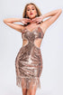 Narali Tassel Sequin Dress