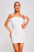 Tafari Strapless Feather Mini Dress