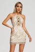 Tadeo Lace Mini Dress