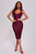 Ronan Mesh Midi Bandage Dress